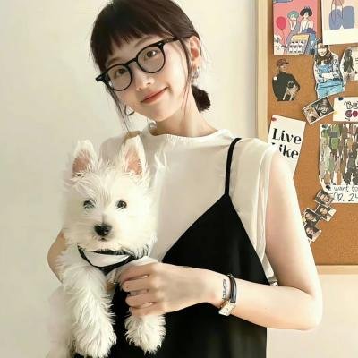 群莺乱飞
